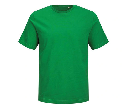 JACK & JONES Men's T-shirt (Green)
