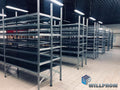 Shelve Sample