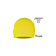 KPT, WINTER HAT PESSO THINSULUTE